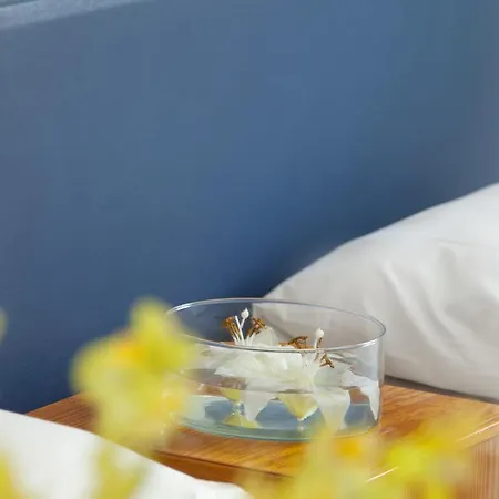 Apartahotel Paloma 4*