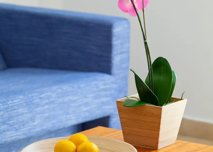 Paloma Aparthotel 3*