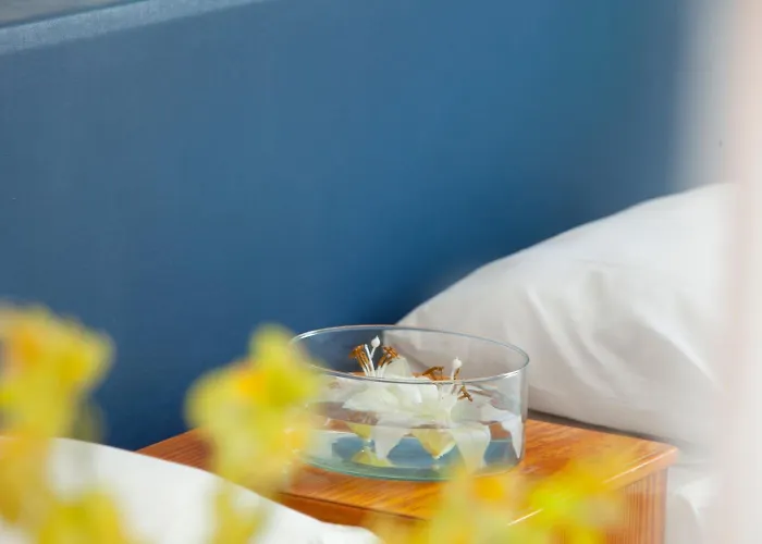 Aparthotel Paloma 3*