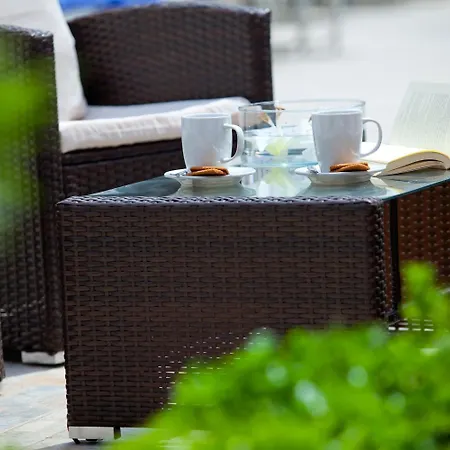 Paloma أيا نابا