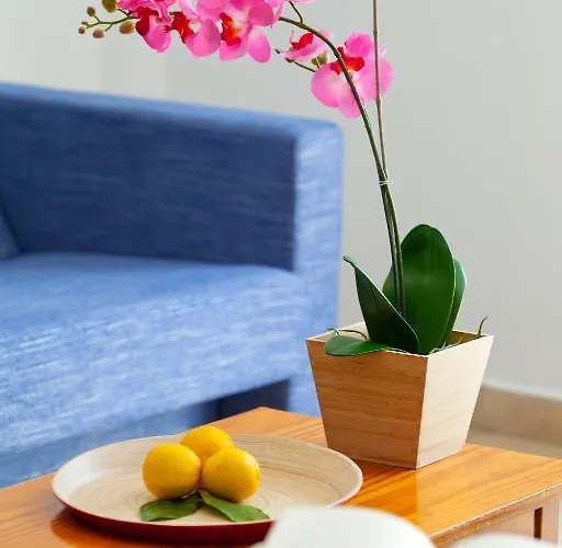 Lägenhetshotell Paloma Ayia Napa